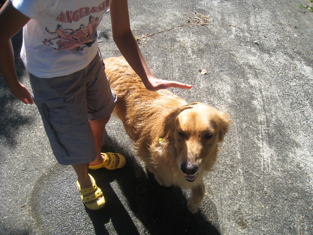 ファイル 923-1.jpg