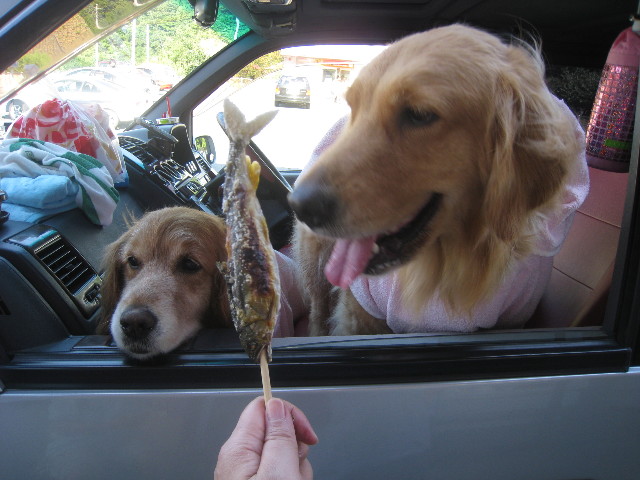 ファイル 923-3.jpg