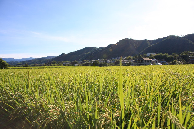 ファイル 923-5.jpg