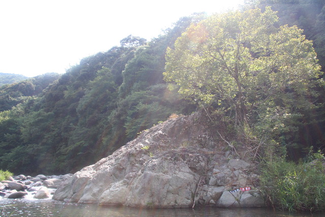 ファイル 924-1.jpg