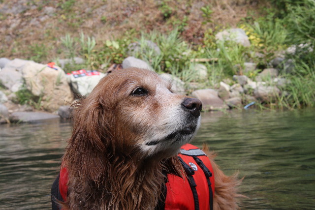 ファイル 924-4.jpg