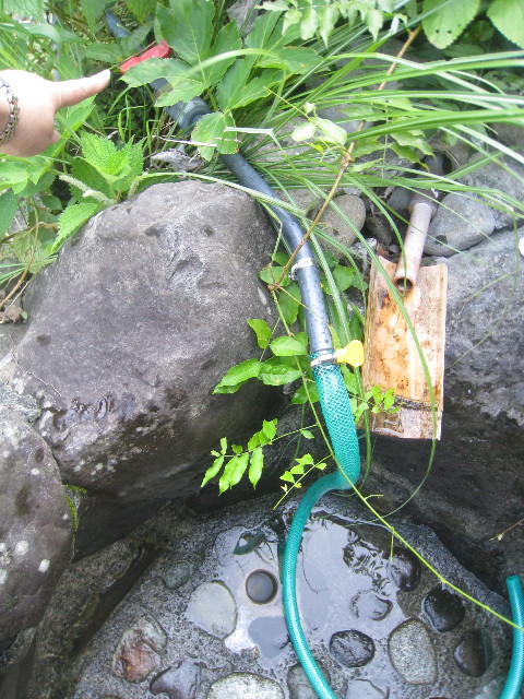 ファイル 926-3.jpg