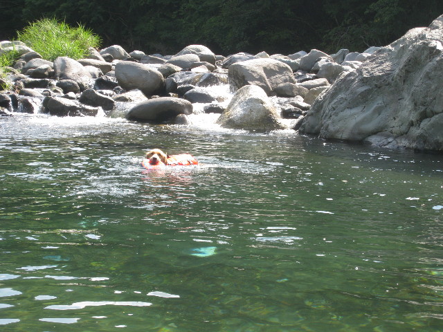 ファイル 930-1.jpg