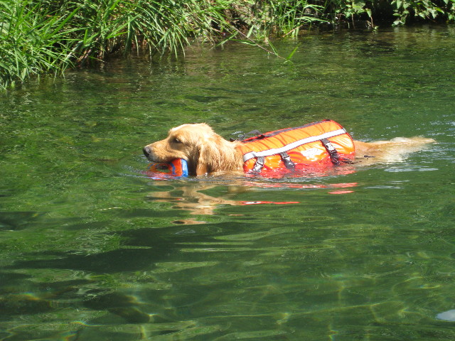 ファイル 930-2.jpg