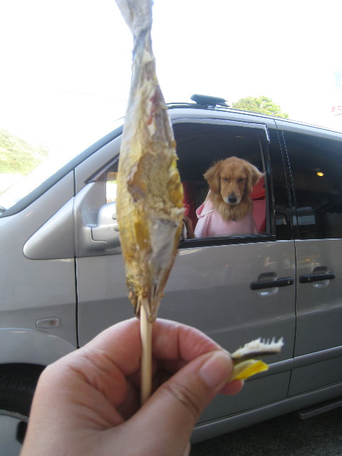 ファイル 931-4.jpg