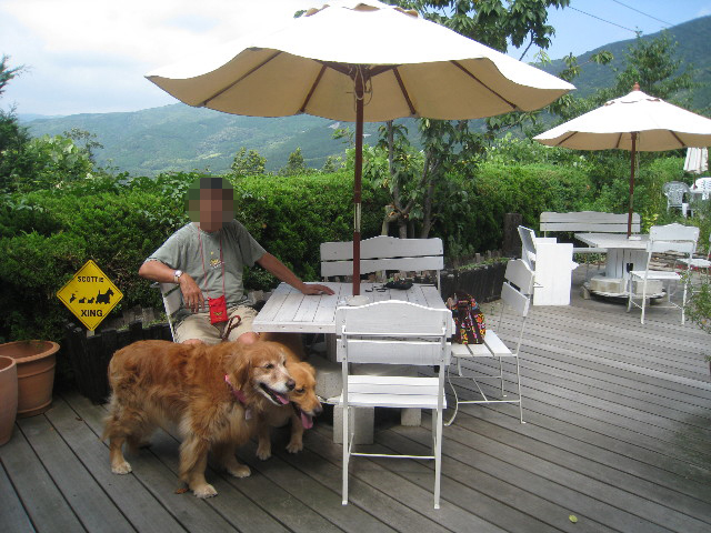 ファイル 932-1.jpg