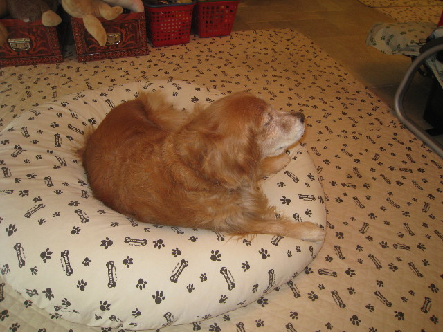 ファイル 933-1.jpg