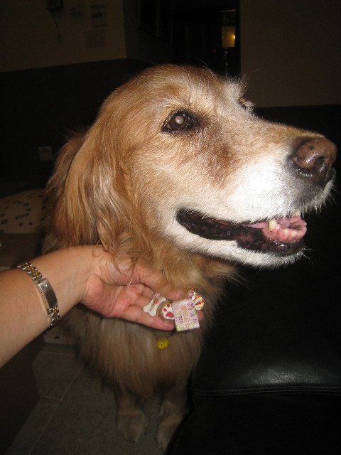 ファイル 933-4.jpg