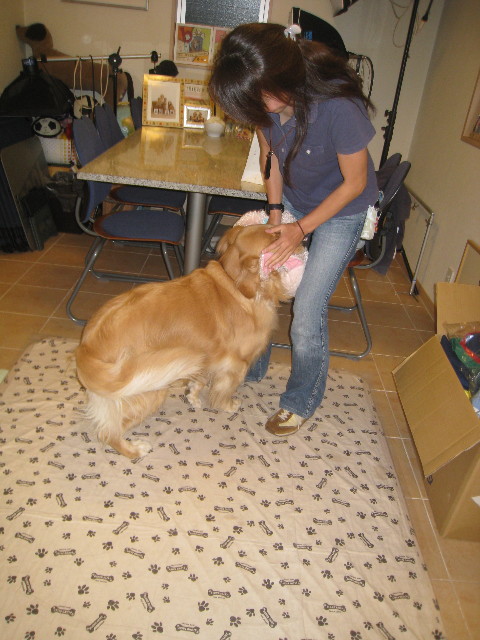 ファイル 934-1.jpg