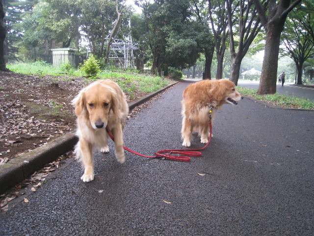 ファイル 935-2.jpg