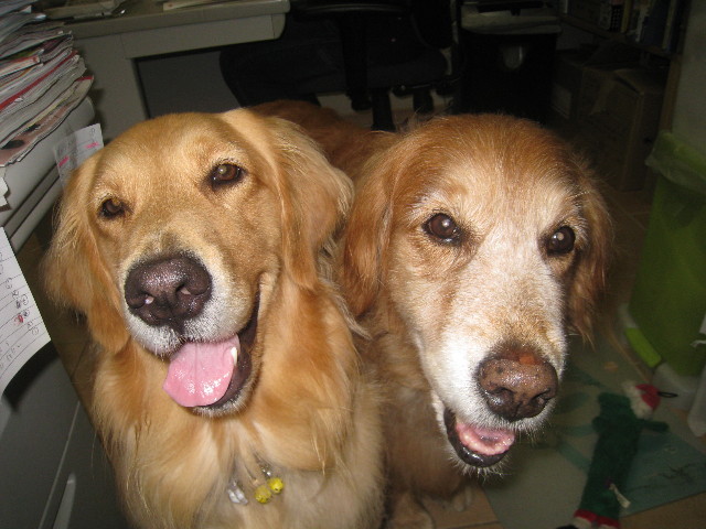 ファイル 935-5.jpg