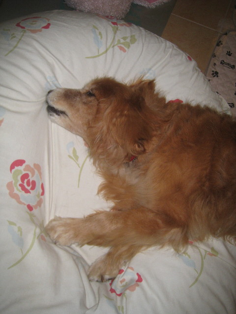 ファイル 936-4.jpg