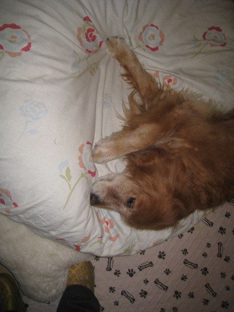 ファイル 936-5.jpg