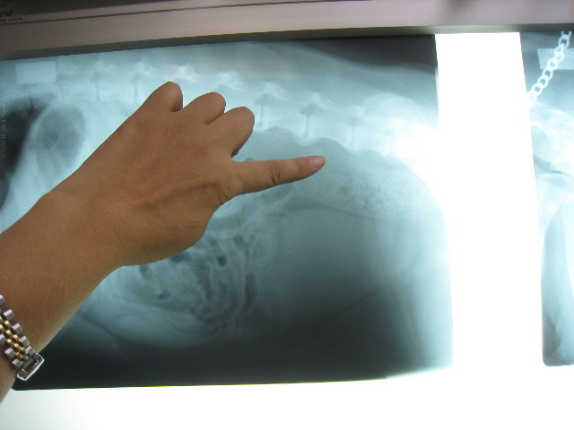 ファイル 937-1.jpg