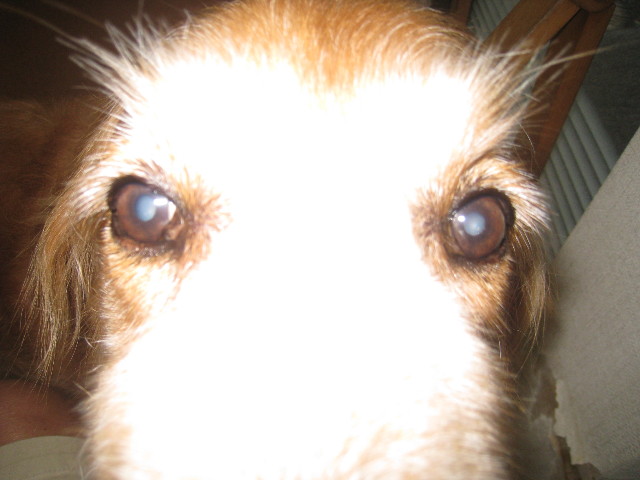 ファイル 937-5.jpg