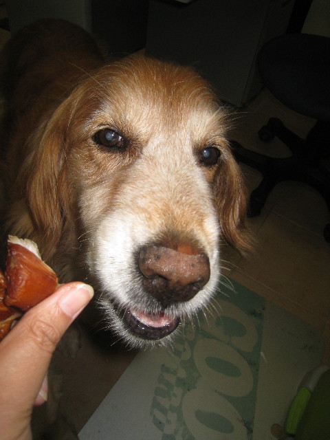 ファイル 938-1.jpg