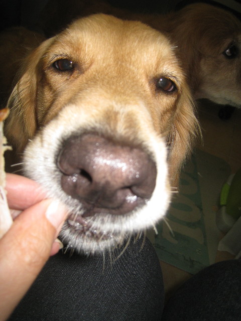 ファイル 938-3.jpg