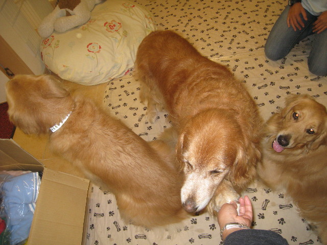 ファイル 940-1.jpg