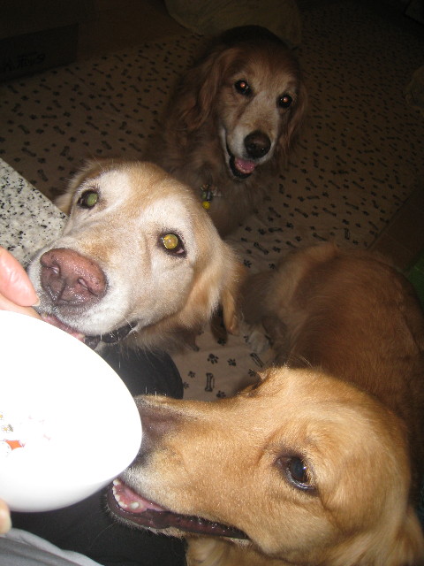 ファイル 940-4.jpg