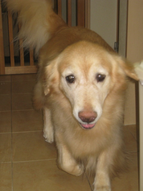 ファイル 940-5.jpg