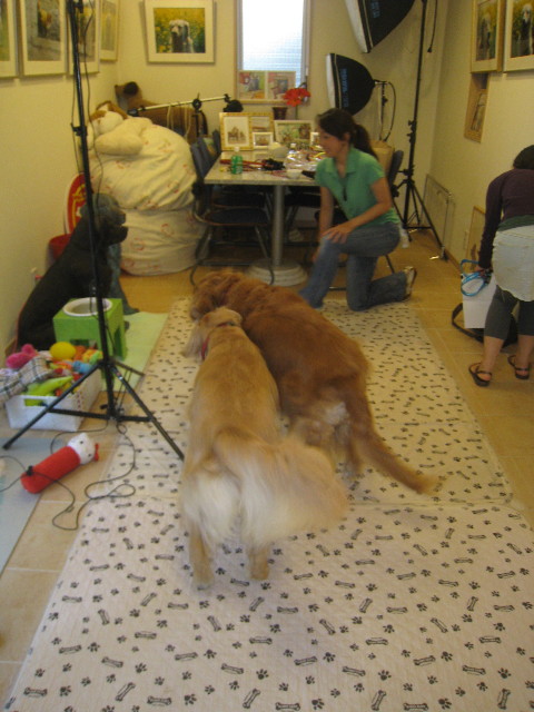 ファイル 941-2.jpg