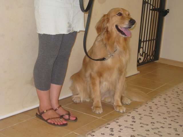 ファイル 941-3.jpg