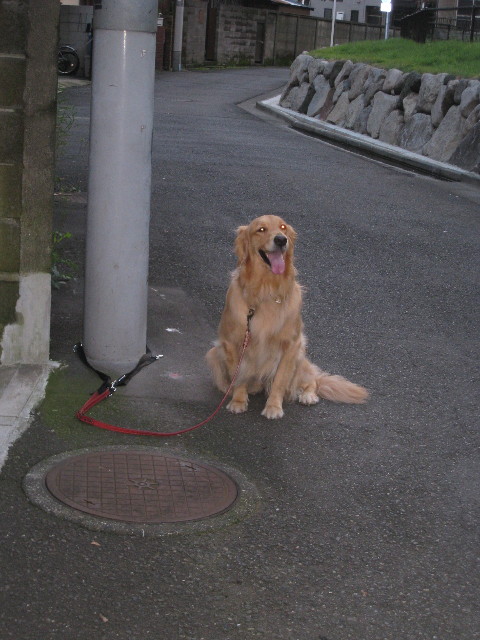 ファイル 941-4.jpg