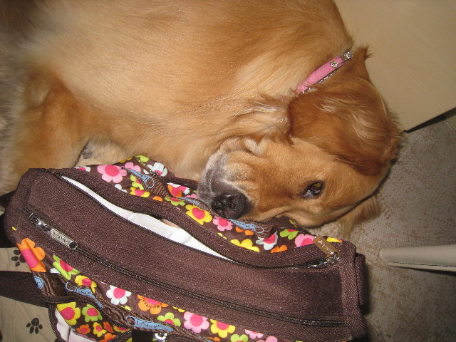 ファイル 943-1.jpg