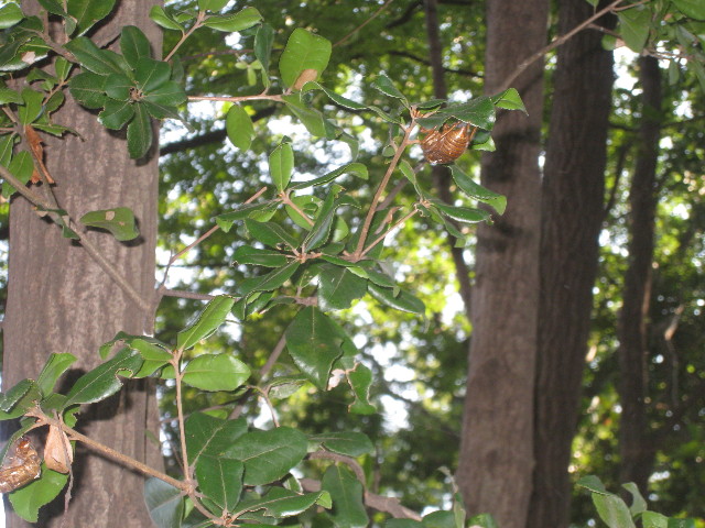 ファイル 943-2.jpg