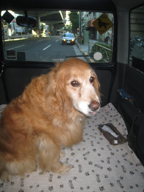 ファイル 943-4.jpg