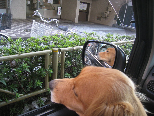 ファイル 943-5.jpg