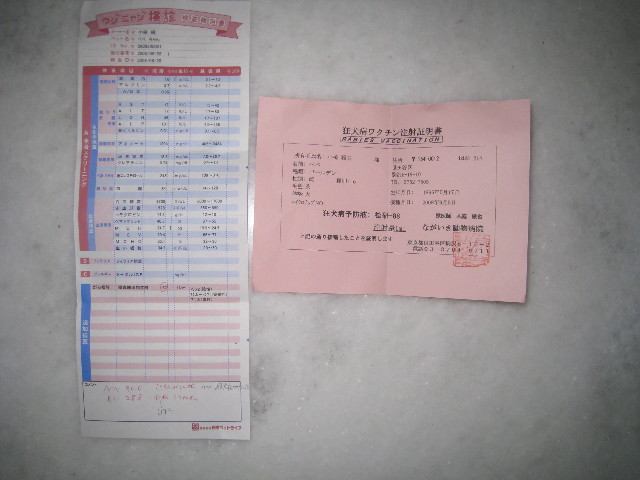 ファイル 944-2.jpg