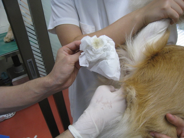 ファイル 944-4.jpg