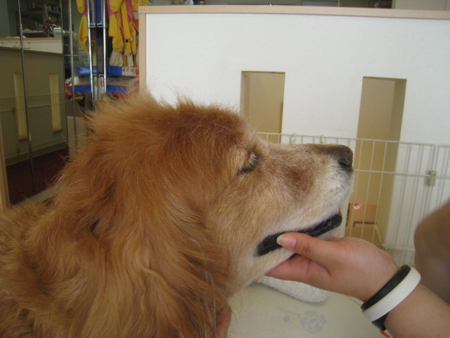 ファイル 945-2.jpg