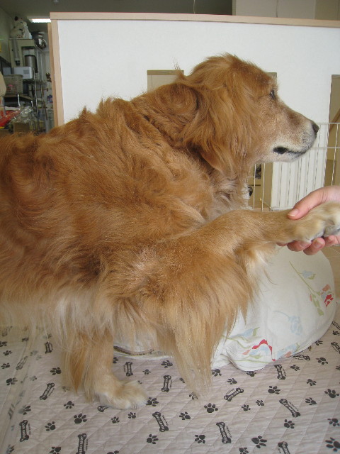 ファイル 945-3.jpg