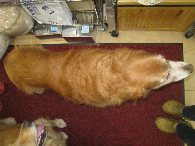 ファイル 945-5.jpg