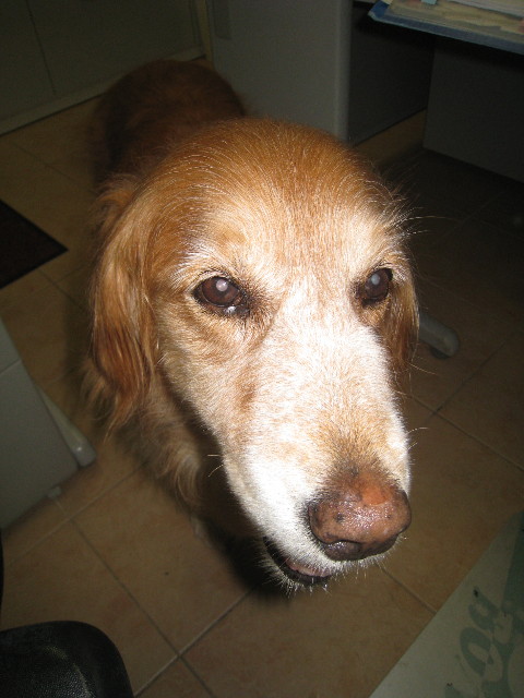 ファイル 946-1.jpg