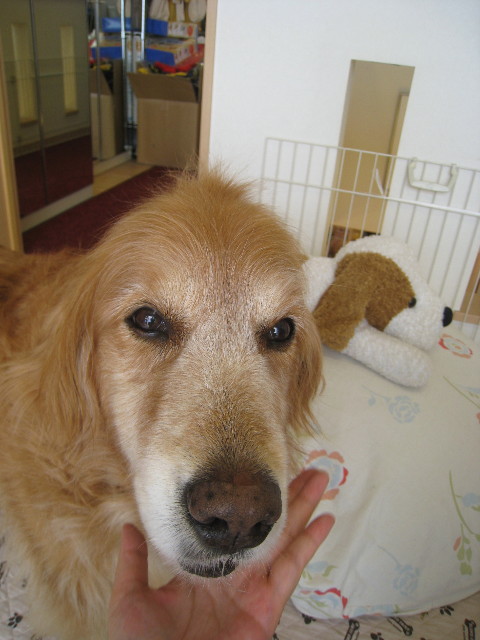 ファイル 946-2.jpg