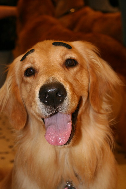 ファイル 946-4.jpg