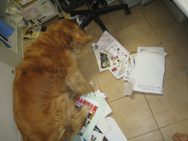 ファイル 948-1.jpg