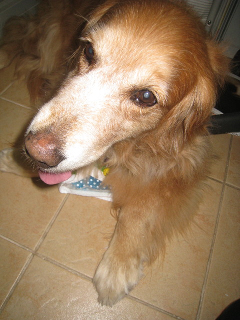 ファイル 948-4.jpg