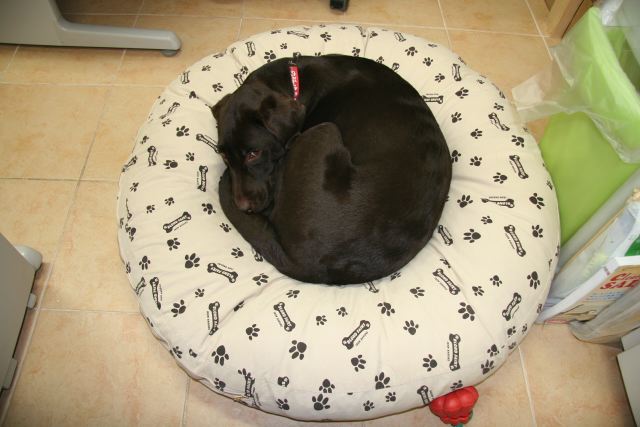 ファイル 95-2.jpg