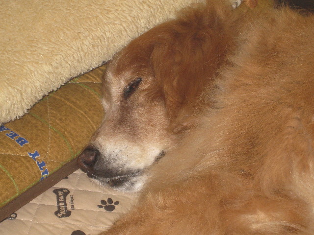 ファイル 951-2.jpg