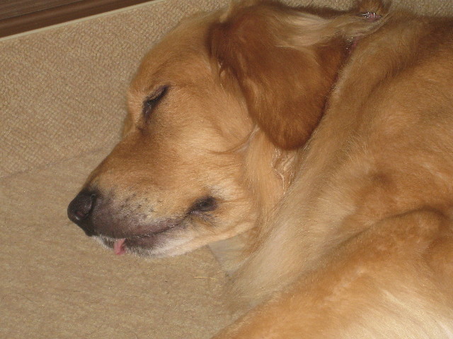 ファイル 951-3.jpg