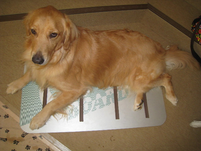 ファイル 951-4.jpg