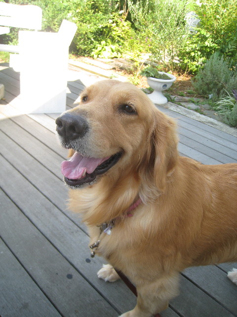 ファイル 952-5.jpg