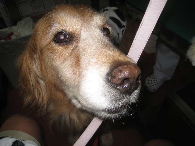 ファイル 953-5.jpg