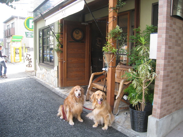 ファイル 955-1.jpg