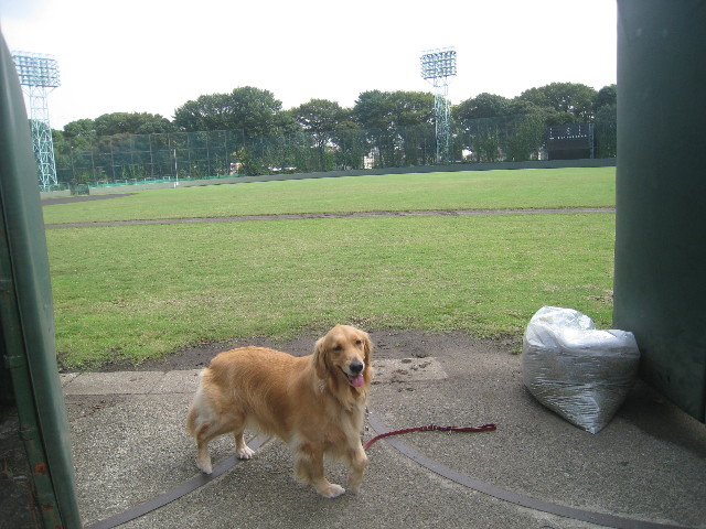 ファイル 956-2.jpg