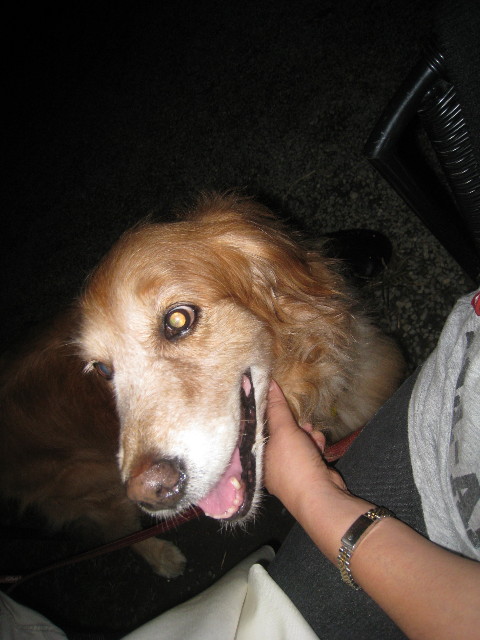 ファイル 957-5.jpg